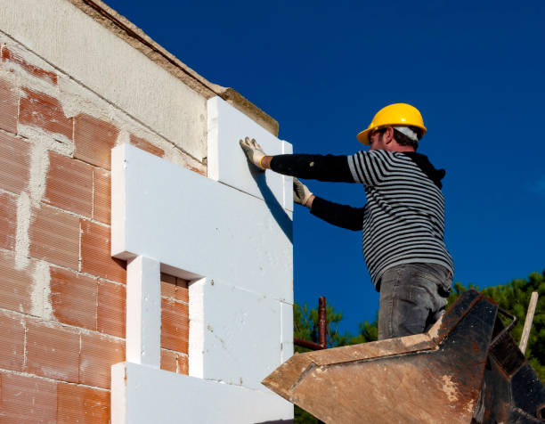 Best Cellulose Insulation in Clarkton, MO
