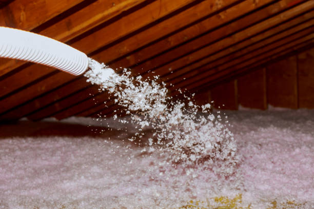 Reliable Clarkton, MO Insulation Contractor Solutions