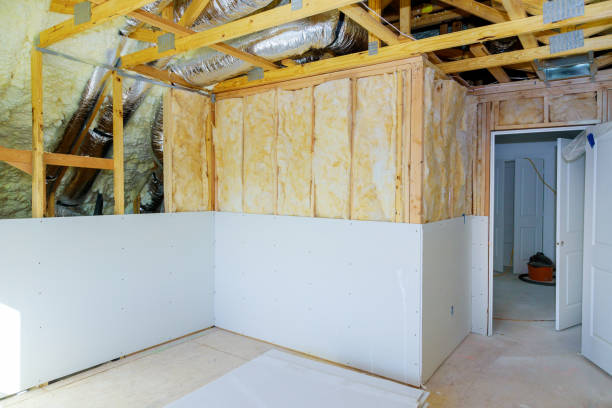 Best Specialized Insulation Services in Clarkton, MO