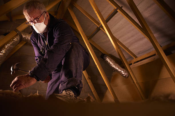 Types of Insulation We Offer in Clarkton, MO