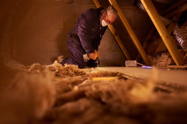 Best Fiberglass Insulation in Clarkton, MO